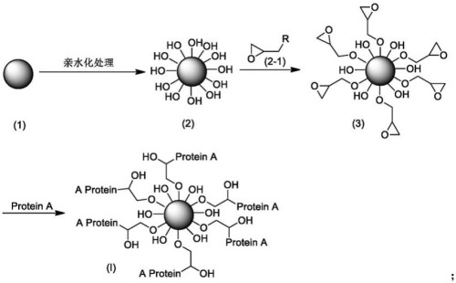 层析介质DMF注册-填料美国药物主文件备案怎么做