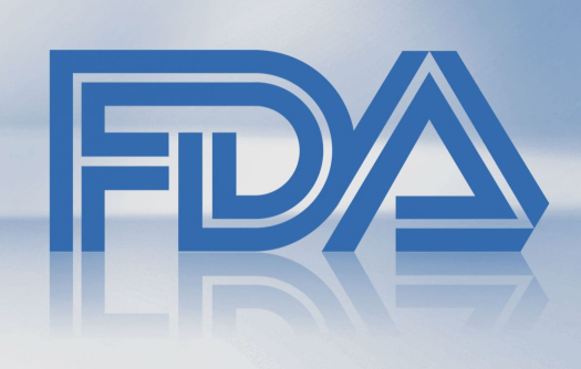 美国 FDA 主文件